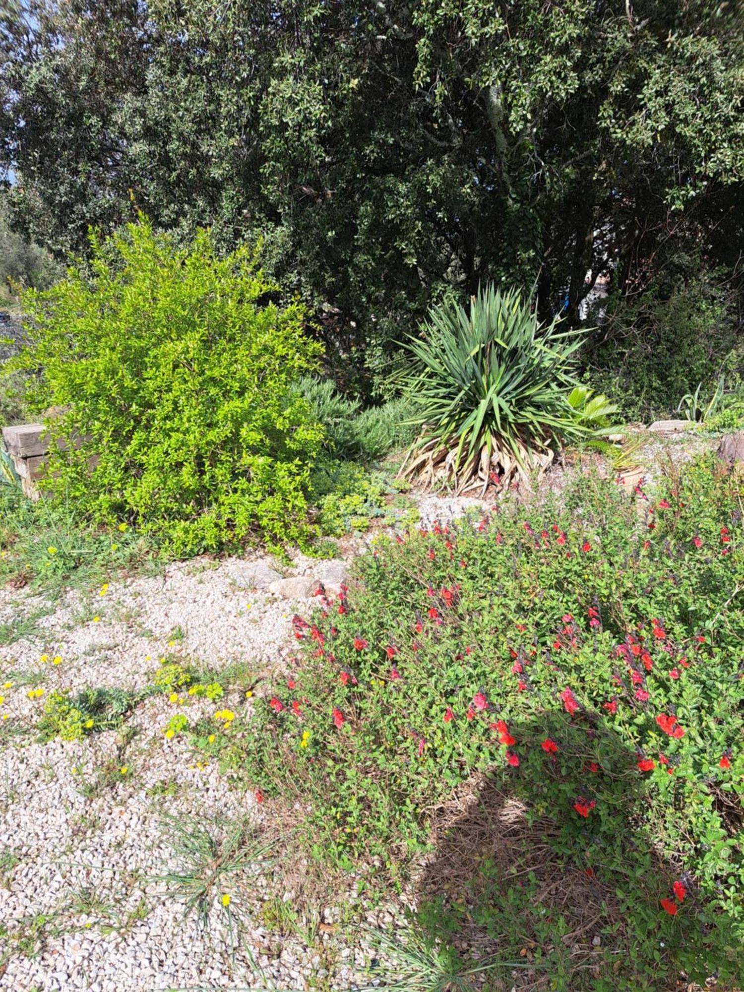 Le Calme De La Garrigue Bed and Breakfast Russan Buitenkant foto