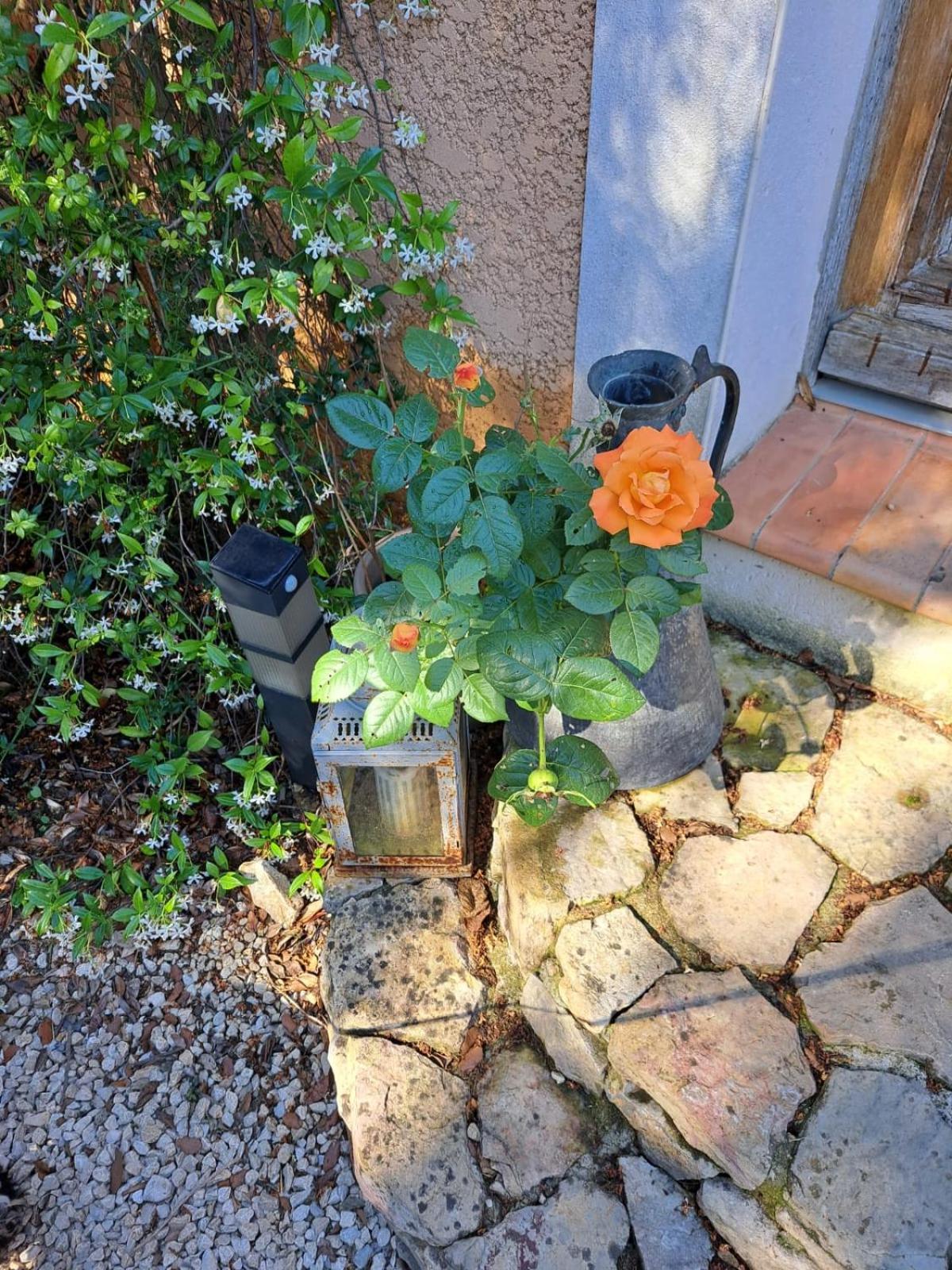 Le Calme De La Garrigue Bed and Breakfast Russan Buitenkant foto