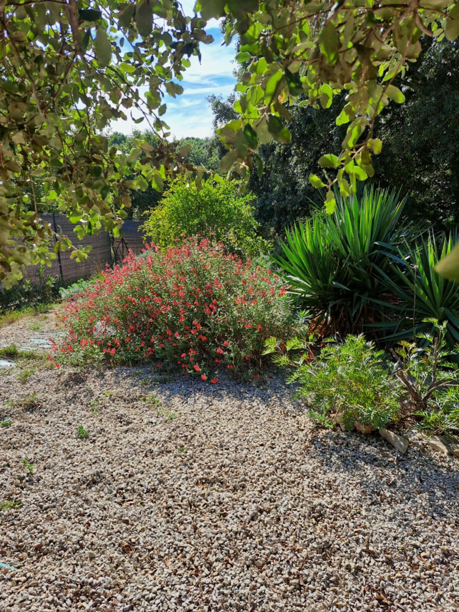 Le Calme De La Garrigue Bed and Breakfast Russan Buitenkant foto