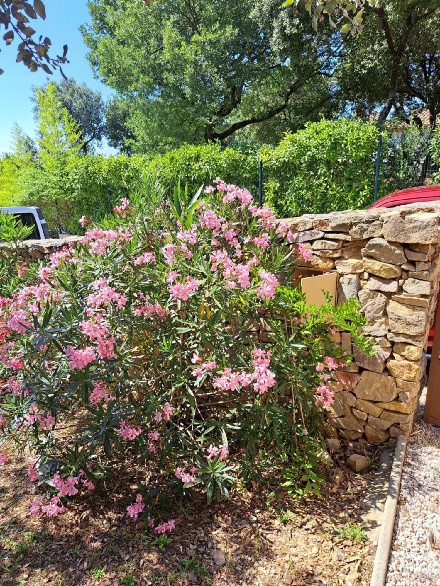 Le Calme De La Garrigue Bed and Breakfast Russan Buitenkant foto